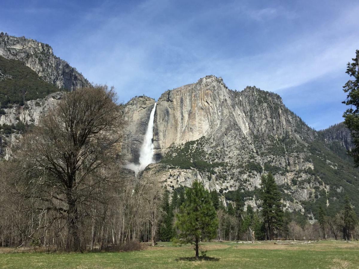 Carriage House At Yosemite *